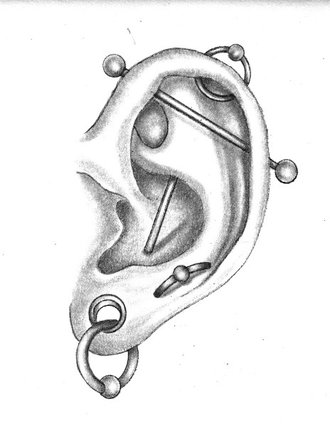 Conch and Industrial (Ear Cartilage) Piercings | Elayne