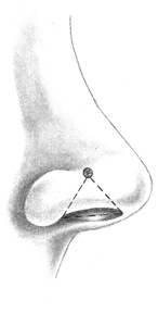 Nostril Piercing Placement (illustration)