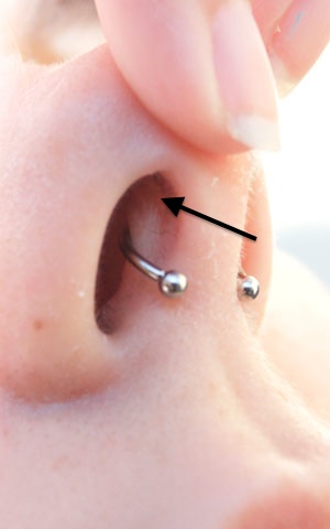 nasal septum piercing location