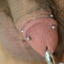 A pair of dydoe piercings in the corona (plus a Prince Albert)