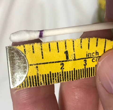De-fluffed, marked swab against a ruler to show the measurement Thumbnail